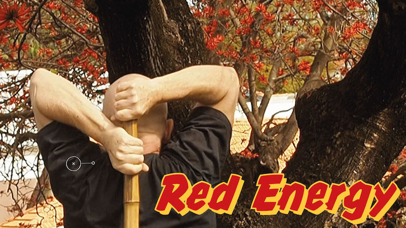 Red Energy Triceps Extensions